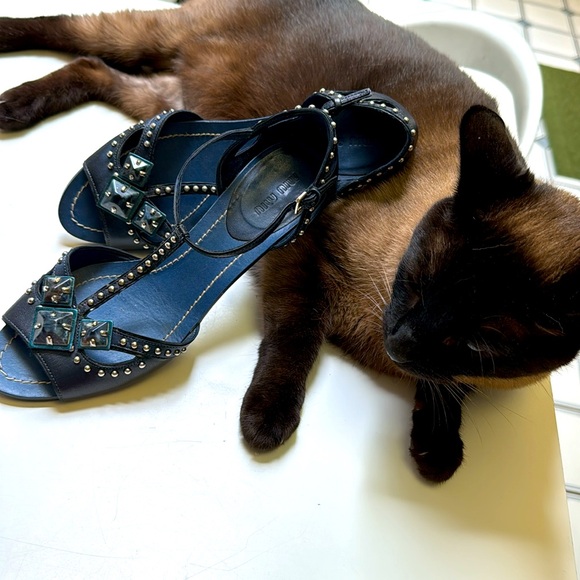 Miu Miu Italy Denim Blue Silver Studded Lapis Jewel Chrome Kitten heel Sandals - Picture 3 of 9